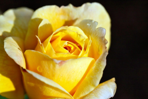 755541 (a): :2500x1666